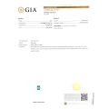Natural Mozambique Paraiba Tourmaline 0.61 carats with GIA Report