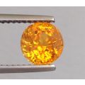 Natural Heated Yellow Sapphire 1.79 carats