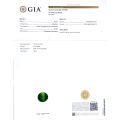 Natural Cat's Eye Demantoid Garnet 5.41 carats with GIA Report