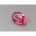 Natural Heated Padparadscha Sapphire orange pink color oval shape 1.79 carats