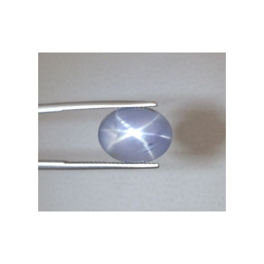Natural Gray Star Sapphire 10.06 carats