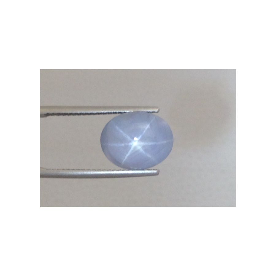 Natural Gray Star Sapphire 9.76 carats