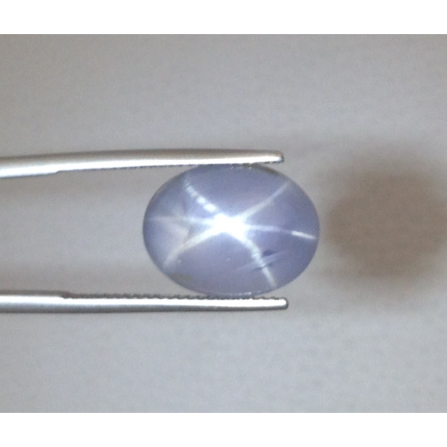 Natural Gray Star Sapphire 10.06 carats